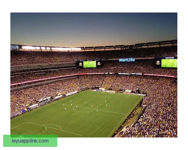 2026年世界杯举办城市全景揭秘：北美三国如何打造盛大足球盛宴